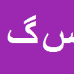 کارشناس رسمی دادگستری سودابه گرجی