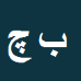 کارشناس رسمی دادگستری بردی چپرلی