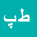 کارشناس رسمی دادگستری طاهره پیری