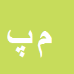 کارشناس رسمی دادگستری محسن پورنامداری