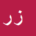 کارشناس رسمی دادگستری زهرا رسولیان