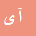 کارشناس رسمی دادگستری آیدین یدرنجی