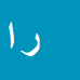 کارشناس رسمی دادگستری رضا امیری
