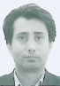 کارشناس رسمی دادگستری هادی ذرعی فروش