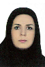 کارشناس رسمی دادگستری رقیه امیری