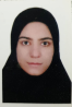 کارشناس رسمی دادگستری نسرین محمودی