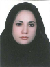 کارشناس رسمی دادگستری نیکو پیروی