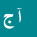 کارشناس رسمی دادگستری آمنه جوری