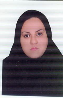 کارشناس رسمی دادگستری مهدیه شاهچراغی