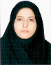 کارشناس رسمی دادگستری مرجان معین قفقازی
