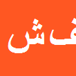 کارشناس رسمی دادگستری فهیمه شفیعی