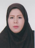 کارشناس رسمی دادگستری خرمه عسکری