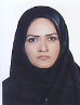 کارشناس رسمی دادگستری شیرین گودرزی