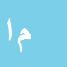 کارشناس رسمی دادگستری ملیحه سادات امیری یان